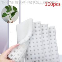 【hot】♚☃✕ 100pcs Sponge Soilless Hydroponic Vegetables Pots Cultures Groundless Cultivation System Trays