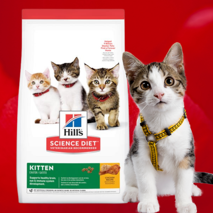 Hill's Science Diet Kitten Chicken 1.58kg / 4kg Dry Kibble | Lazada