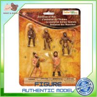 Safari : SFR663816 วิวัฒนาการมนุษย์ Evolution of Man Model Action Figure Cartoon แอกชั่น ฟิกเกอร์ ของเล่น ของสะสม ของเล่นเด็ก ตุ๊กตา Mamy and Buddy