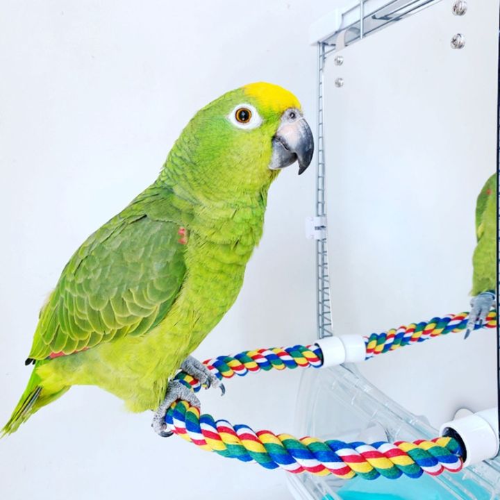 กระจกนกอะคริลิคพร้อมเชือกคอนของเล่นนก-lovebirds-finch-canaries-swing-comfy-perch-สำหรับ-parakeet-cockatiel-conure