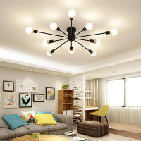 Modern Ceiling Lamp Light Fixture LightingRetro Iron Chandelier BlackWhite 6810 Sockets Lighting Vintage Spider