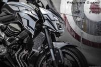 การ์ดหม้อน้ำ LEON KAWASAKI Z800 สีดำ (Black Edition)