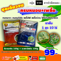 ** แพ็ค 10 ชุด ** ชุดหนอน-เพลี้ย ⚡️ อีมา_หมู 100g ( อีมาเมกติน )+เซก้า 100g ( อะเซทามิพริด ) กำจัดแมลง หนอน-เพลี้ย หนอนเจาะ เพลี้ยไฟ เพลี้ยอ่อน