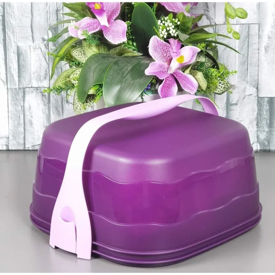 Fresh & Fancy Cake Carrier (1) 6L