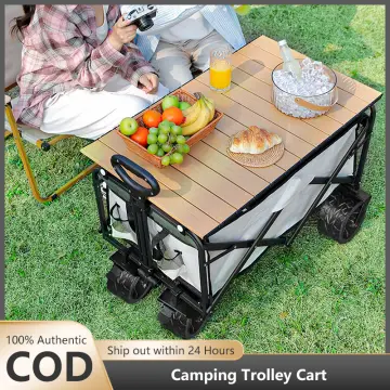 Shop Trolley Wagon For Kids online