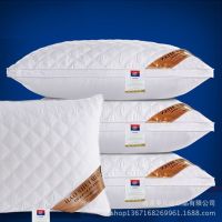 Manufacturers wholesale hotel three-dimensional quilted feather velvet pillow core neck protector adult single a pair of 2 pillow