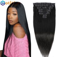 Human Hair Clip In Extension Bone Straight Brazilian Remy Human Hair 8 Pieces/Sets Full Head Clip In Hair Extension For Women