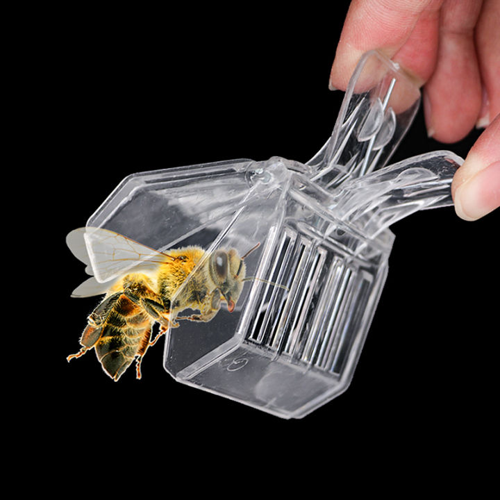 กรงผึ้งแบบหนีบ5ชิ้นกรงคลิปพลาสติกใสไม่มีสีสำหรับกรงขังผึ้งเลี้ยงผึ้ง