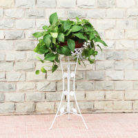 European Style Flower Shelf Wrought Iron Multi-layer Indoor Living Room Balcony Shelf Green Flower Pot Stand Floor Type Home Floor