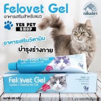 Felovet Gel อาหารเสริมวิตามินบำรุงร่างกาย อาหารเสริมสำหรับแมว ขนาด 50 กรัม โดย yes pet shop