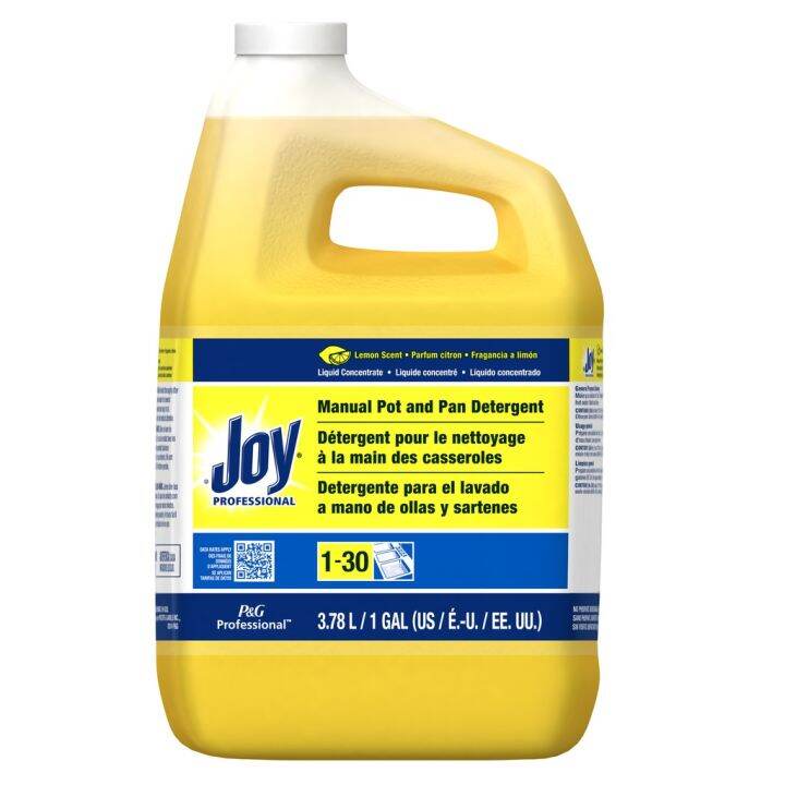 practical Joy Dishwashing Liquid 1 Gal Lazada PH