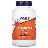 NOW Foods Pantothenic Acid 500 Mg 250 Veggie Caps