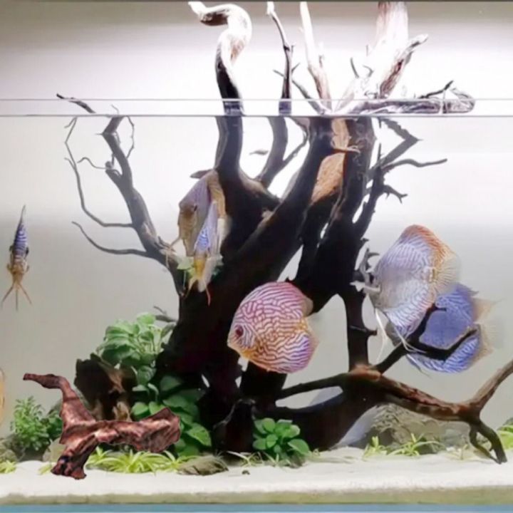 Pineapple shaped hotsell fish tank