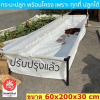 โปรแรง ค่าส่งถูก!! กระบะปลูกผัก พร้อมโครงเหล็ก ขนาด 60x200x30 cm กระบะปลูกผักพร้อมโครง เก็บเงินปลายทาง