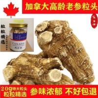 Authentic Canadian โสมอเมริกัน Super-Grain โสมอเมริกันสาขาสั้นโสมอเมริกันชิ้นขายส่งโสมอเมริกันโสมผง