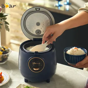 Bear Mini Rice Cooker Review 