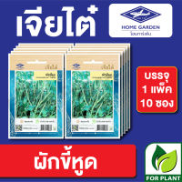 ผักซอง เจียไต๋ CT15 เมล็ดพันธุ์ พันธุ์ผัก ผักขี้หูด บรรจุแพ็คล่ะ 10 ซอง ราคา 70 บาท