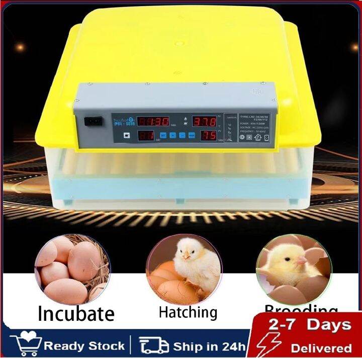 56 Eggs Fully Automatic Egg Incubator Smart Digital Incubator with