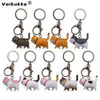 Car Key Carabiner Keychain Charms