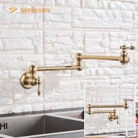 Senlesen Brushed Gold Foldable Kitchen Faucet Wall Mounted Single Cold Water Faucet Brass Rotate Folding Spout Pot Filler Tap