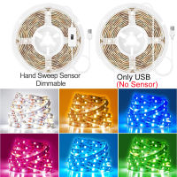 Hand Sweep Sensor 2835 LED Lights Strip USB 5V White Flexible Lamp Tape Diode Festival Fita Bedroom Tira Luces PC Desk Luz