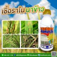 สิงห์มาวิน 500 ซีซี สารป้องกันกำจัดโรคพืช โรคใบจุดสีม่วง ใบไหม้ เมล็ดด่าง ใบจุดในกล้วยไม้ แอนแทรคโนสในทุเรียนโรคใบจุดส้ม คูลเกษตรKF31