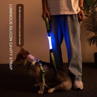 ๑▩✲ Led Dog Collar Pet Dog Traction Rope Night Dog Collars Glowing Luminous LED Night Safety Flashing Glow Collar Strap