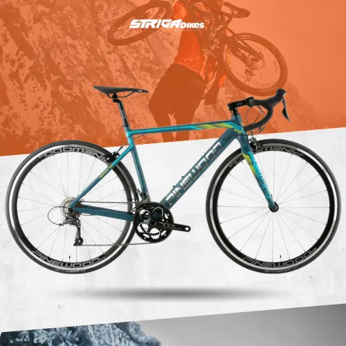 pinewood road bike carbon