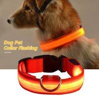 （A LIKE077） S/m/l Köpek Kedi Aydnlık นำ Yaka เสื้อผ้าชิ้นเดี่ยวโกลเด้นรีทรีฟเวอร์ Kolye Köpekler Iin Güvenlik Gece Anti Kayp Kızdırma Koevum Van Tasaksesakuarขด
