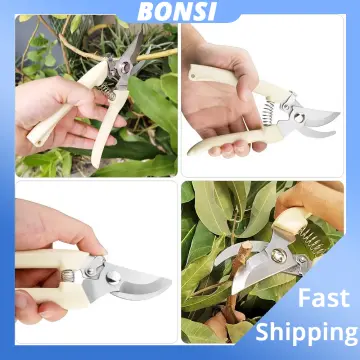 Garden Clippers: German Pruners For Trimming Roses, Trees & Live Plants -  Sharp Garden Scissors For Arthritis Weak Hands