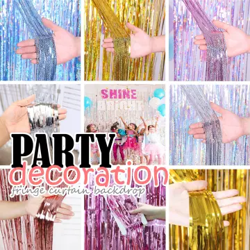 Silver Party Curtain