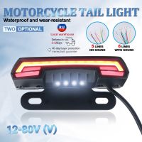 General Waterproof Motorcycle Scooter License Plate Lights Tail Rear Brake Stop Double Flash Warning Turn Signal Lamps Dynamic Work Safety Lights