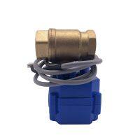 12"(DN15) 34"(DN20) 1"(DN25) DC12V BSP NPT Brass Motorized Ball Valve for WLD-808 Water Leak Detection Alarm