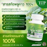 สารสกัดพลูคาว 100%  ช่วยภูมิคุ้มกันและยับยั้งการแตกตัวของไวรัส Tip Product