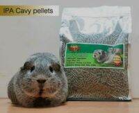 Cavy pellet IPA 2 กิโล สำหรับเเก๊สบี้ ส่งเร็ว