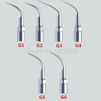 6ชิ้นล็อตอัลตราโซนิก Scaler ทันตกรรมเคล็ดลับ G1 G2 G3 G4 G6เข้ากันได้กับ Emsนกหัวขวานฟันไวท์เทนนิ่งทันตกรรม Lab อุปกรณ์