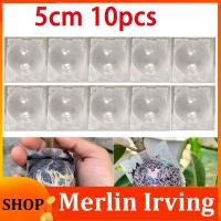 Merlin Irving Shop 5cm 10pcs Plant Tree Rooting Ball Rooter Box Plastic Case Transparent Flower Grafting Growing High-pressure Breeding