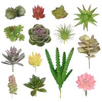 【jw】♠ Artificial Succulent Faux Office Desktop Garden Decoration