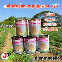 เมล็ดแคนตาลูปเจ็ท JET แคนตาลูปเนื้อเขียวjet เมล็ดแคนตาลูปตราตะวันต้นกล้า