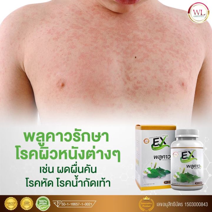 ex-พลูคาว-สารสกัดจากสมุนไพรไทย-เสริมภูมิคุ้มกัน-ต้านเชื้อไวรัสและแบคทีเรีย-ส่งฟรี