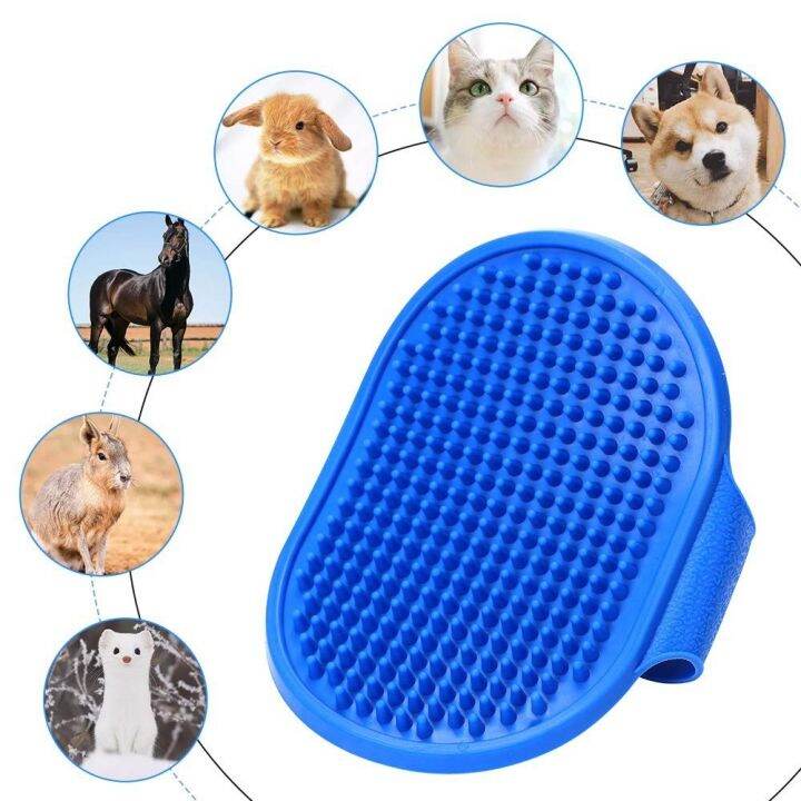 pet-brush-แปรงซิลิโคนอาบน้ำสุนัข-แปรงอาบน้ำหมา-แปรงอาบน้ำแมว-แปรงขนแมวอาบน้ำ-แปรงอาบน้ำแมว-สัตว์เลี้ยงขนาดเล็ก-แปรงอาบน้ำซิลิโคน-t1438