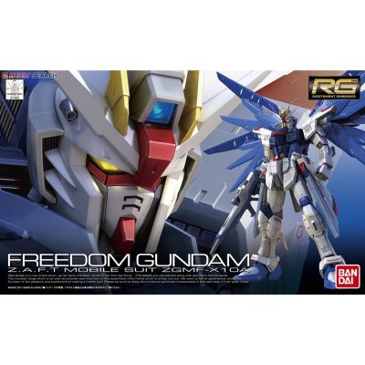 [BANDAI] RG 1/144 Freedom Gundam