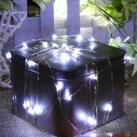 【✔In stock】 xuzichao ฝักบัวรดน้ำสายไฟกันน้ำ Led 100ไฟตกแต่งบ้าน