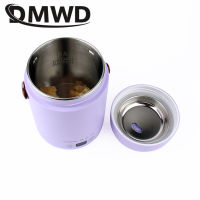 Electric Kettle Rice Cooker Lunch Box Portable Mini Soup Stew Slow Cooking Pot Porridge Food Steamer Noodles Pasta Heater Hotpot