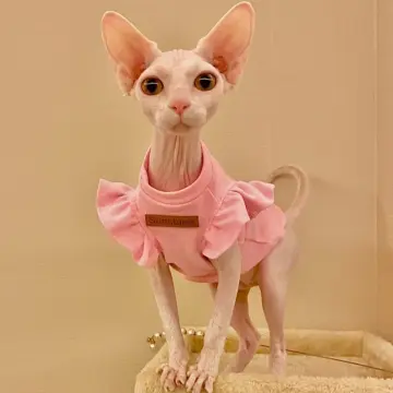 Sphynx Cat Clothes Hairless Cat Sweater Pet Jumper Winter Fashion  Thickening Warm Comfortable Winter Clothing For Cats Outfit