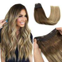 Straight Hair Extensions Real Human Hair Brown and Bleach Blonde Remy Hair Extensions