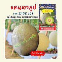 เมล็ดแคนตาลูป ลูกผสม เจด123 F-1 Cantaloupe เมล็ดพันธุ์แคนตาลูป เมล็ดพันธุ์ผัก เมล็ดผักสวนครัว ตราภูเขาทอง