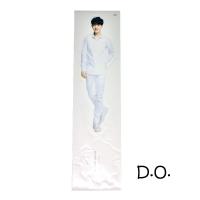 EXO Nature Republic Mini Standees (D.O.)