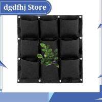 Dgdfhj Shop 9 Pockets Wall Hanging Planting Bags Vertical Garden Planter Non-woven Fabrics Grow Bags Flowerpot Balcony Decoration