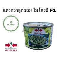 โปรดี!! เมล็ดแตงกวา ลูกผสม ไมโครซี F1 ตราศรแดง กระป๋อง ขนาด 50 g สุดฮอต!